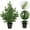 Green, variant on Aufmer 5 Pcs Small Pre-Shaped Xmas Tree, Ready to Display Indoor Holiday Decor for Window Walkway, Seasonal Table Arrangement(Green)