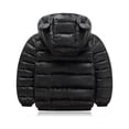 thumbnail image 2 of HILEELANG Toddler Baby Girl(12M-6T) Winter Puffer Jacket Coat Hooded Light Weight Padded Outwear Black 2-3T, 2 of 5