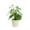 Green_Hot#3778, variant on Artificial Potted Plant | Greenery Plastic Simulation | Indoor Desk D茅cor | Home Office Living Room Shelf Decoration | Lifelike Texture | 31x9x8.5cm