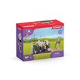 thumbnail image 1 of Schleich Box de lavage pour chevaux emsemble de jeu, 1 of 7