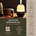 thumbnail image 7 of Gya Labs Egyptian Geranium Essential Oil  - Aromatherapy Geranium Essential Oil for Skin, Hair, Body Massage & Diffuser - 0.34 fl oz, 7 of 7