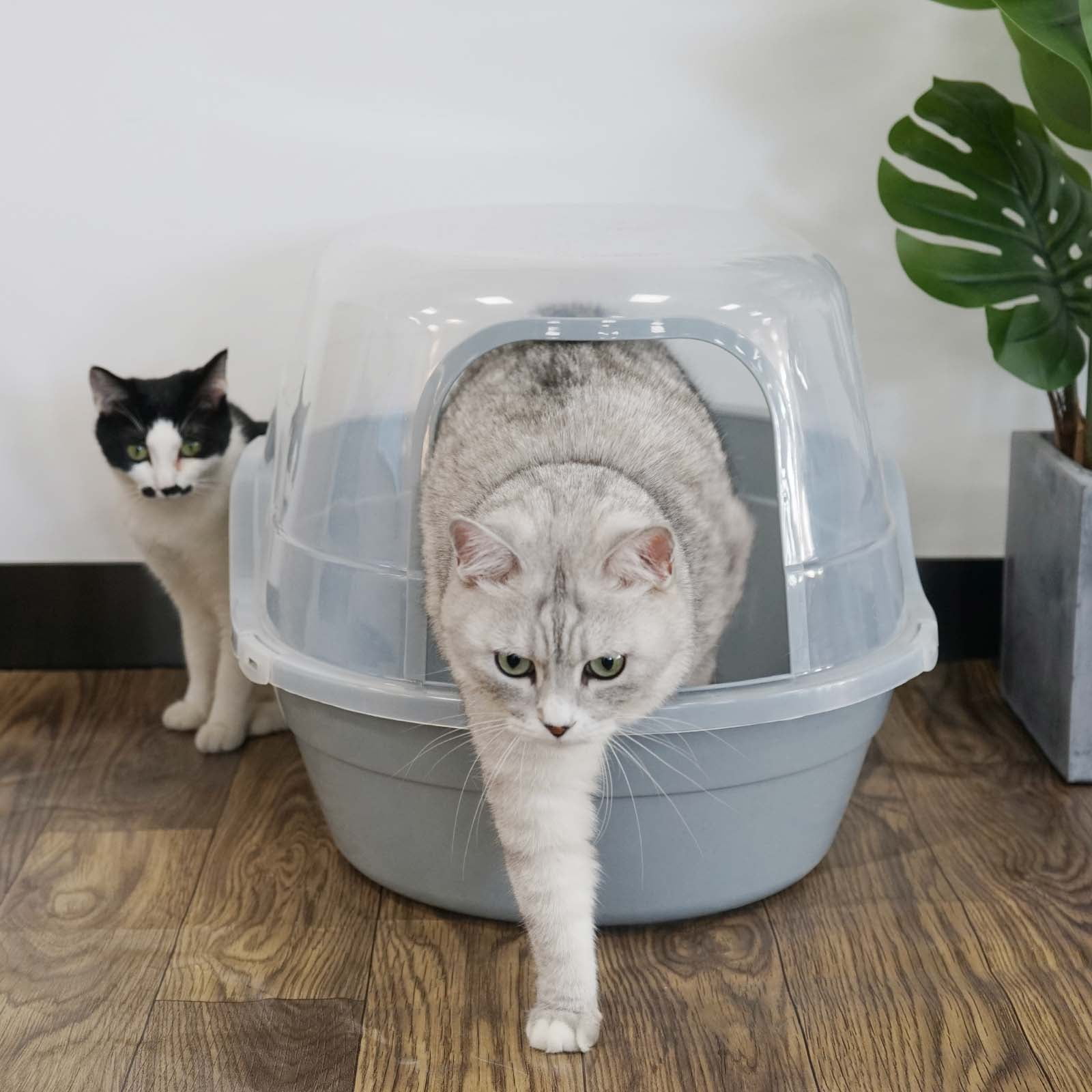 Petfamily Extra Large Cat Litter Box, Color Gray, Jumbo Hooded, 24.8 x 20 x 16.5 in