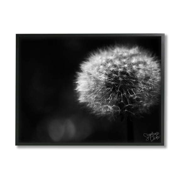 Stupell Modern Black Dandelion Photography Botanical & Floral Photography Black Framed Art Print Wall Art