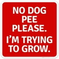 thumbnail image 1 of No Dog Pee Please I Am Trying To Grow, 1 of 1