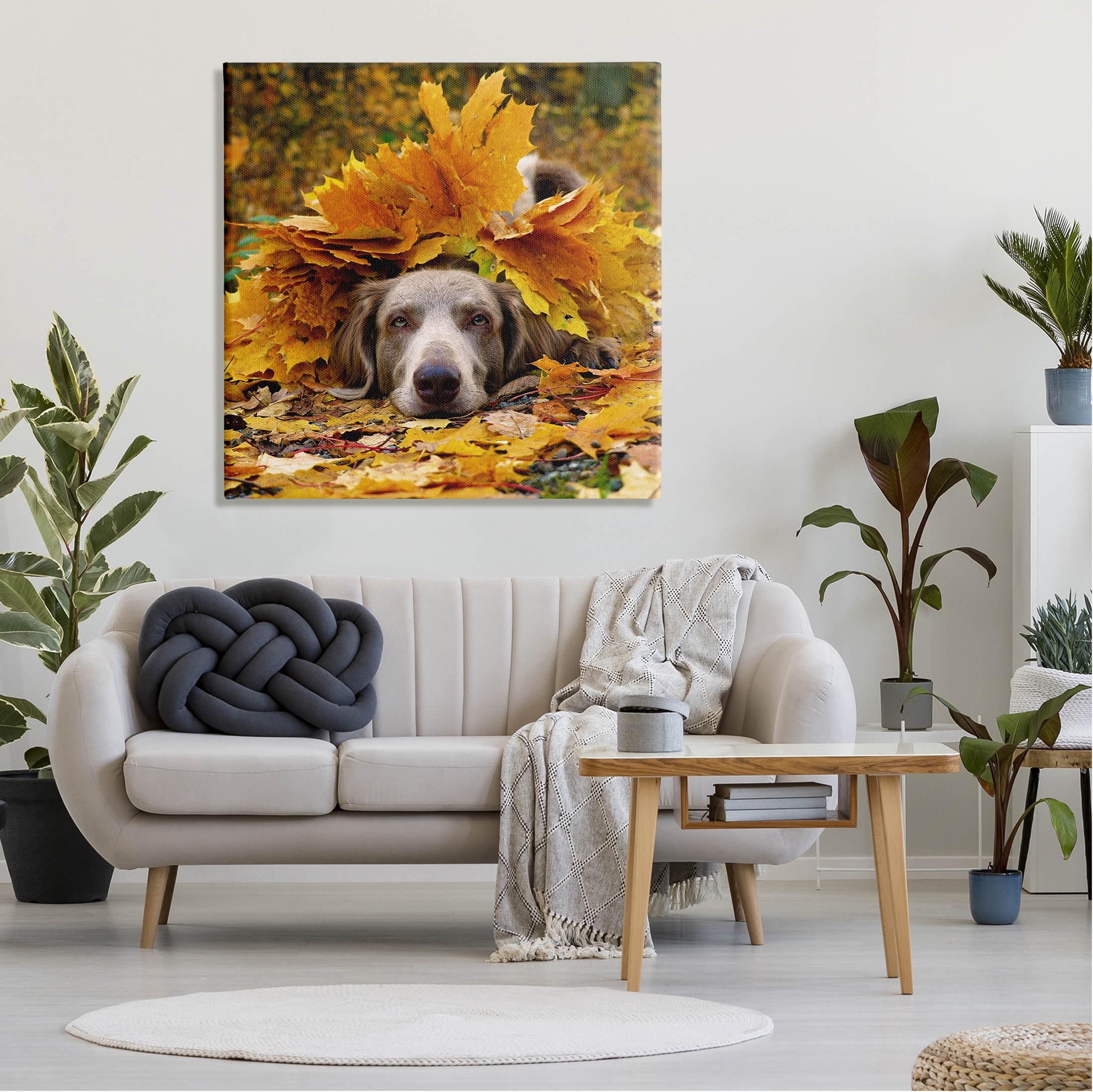 Stupell Industries Happy Puppy Autumn Foliage Photograph Gallery Wrapped Canvas Print Wall Art, Design by Lil' Rue