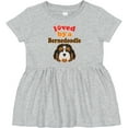 thumbnail image 3 of Inktastic Bernedoodle Dog Lover Girls Baby Dress, 3 of 5