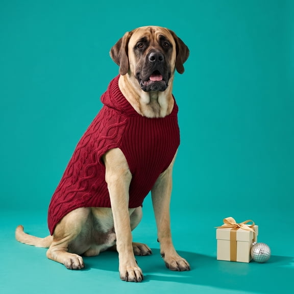 Vibrant Life Holiday Cable Knit Sweater for Dogs, Red, XL