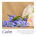thumbnail image 3 of Safely Everyday Liquid Laundry Detergent, Calm Scent, 64 fl oz, 80 Loads, 3 of 8