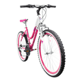 thumbnail image 2 of Bicicleta Benotto Mtb Madeira R26 21v Mujer Susp. Delantera fucsia Benotto Madeira, 2 of 4