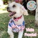 thumbnail image 2 of Camisas Hawaianas para Perros y Gatos Razas Pequeñas Amigos Peludos, 3 Piezas, Colores Surtidos, 2 of 7