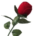 thumbnail image 1 of Caja de anillo de flores, caja de anillo de rosa roja romántica realista con hojas de tallo para propuesta de cumpleaños y boda, 1 of 12