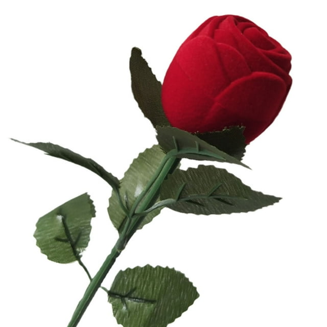 Caja de anillo de flores, caja de anillo de rosa roja romántica realista con hojas de tallo para propuesta de cumpleaños y boda