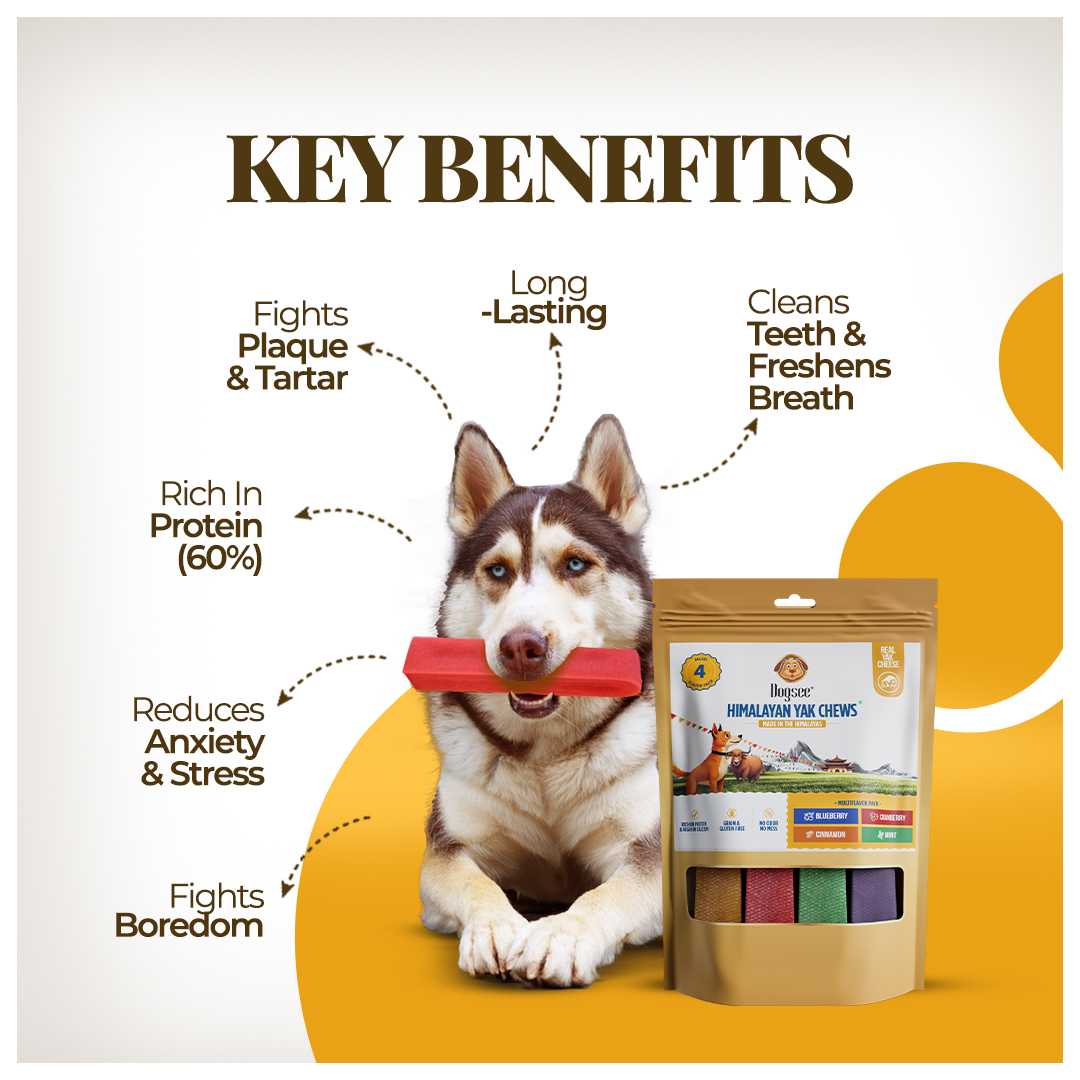Dogsee Multiflavor Yak Cheese Dental Chews Large Dogs 1 lb 4 Aggressive-Chewer Bars