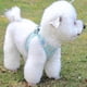 thumbnail image 3 of Harness, Cat Harness and Leash for Walking Escape Proof, Small Dog Harness and Leash Set No Pull, XS, 3 of 5