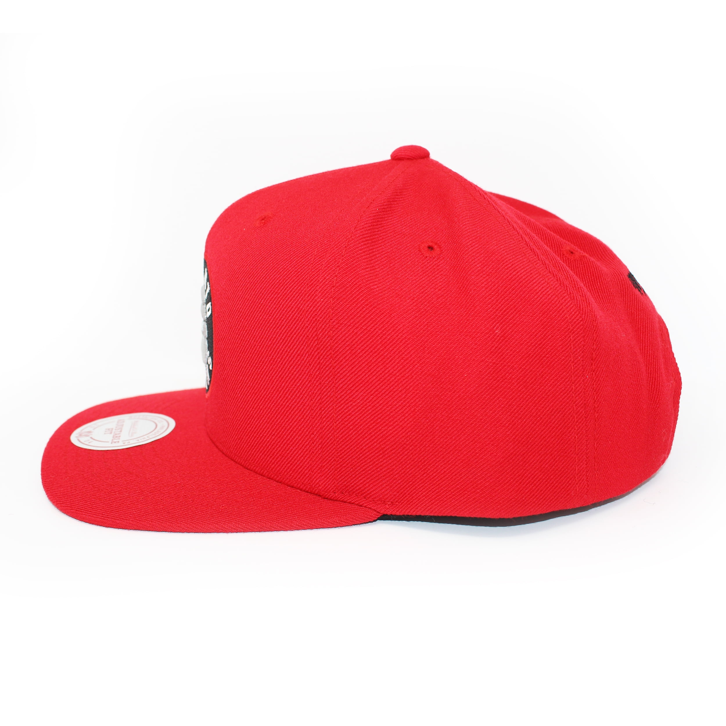 toronto raptors red hat