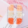 thumbnail image 4 of GIFZES 6Grids/Box Color Changing Nail Flower Ornament Five Petals 3D Effect Floral Nail Art Charms Decoration, 4 of 8