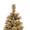 thumbnail image 2 of National Tree Company Bristle Pine 3 Foot Glittery Christmas Tree with Lights, 2 of 5