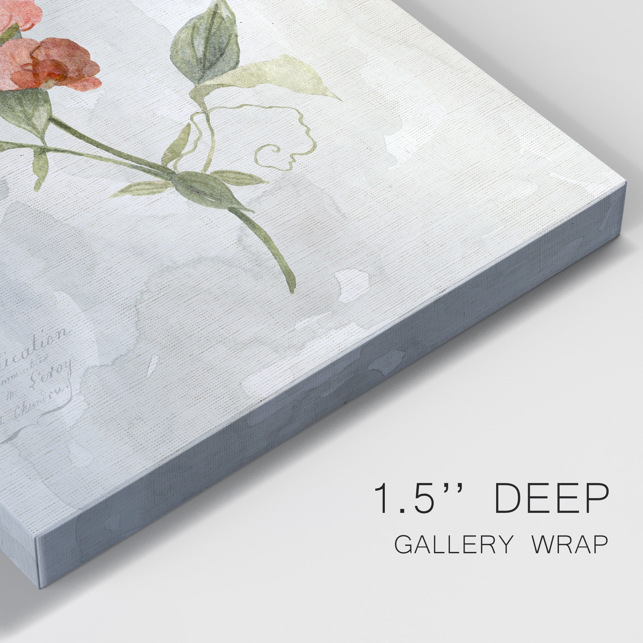 Linen Sweet Pea Premium Gallery Wrapped Canvas - Ready to Hang - 32 x 48