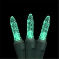 thumbnail image 1 of Reinders 416149R-B M5 LED Light Strands - Teal Full Wave Poly Bagged, 1 of 1