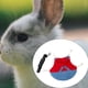 thumbnail image 4 of Chaqueta De Mezclilla Ajustable Con Arnés De Conejo Para Animal Peque?o M Rojo Sunnimix Arnés de conejo, 4 of 7
