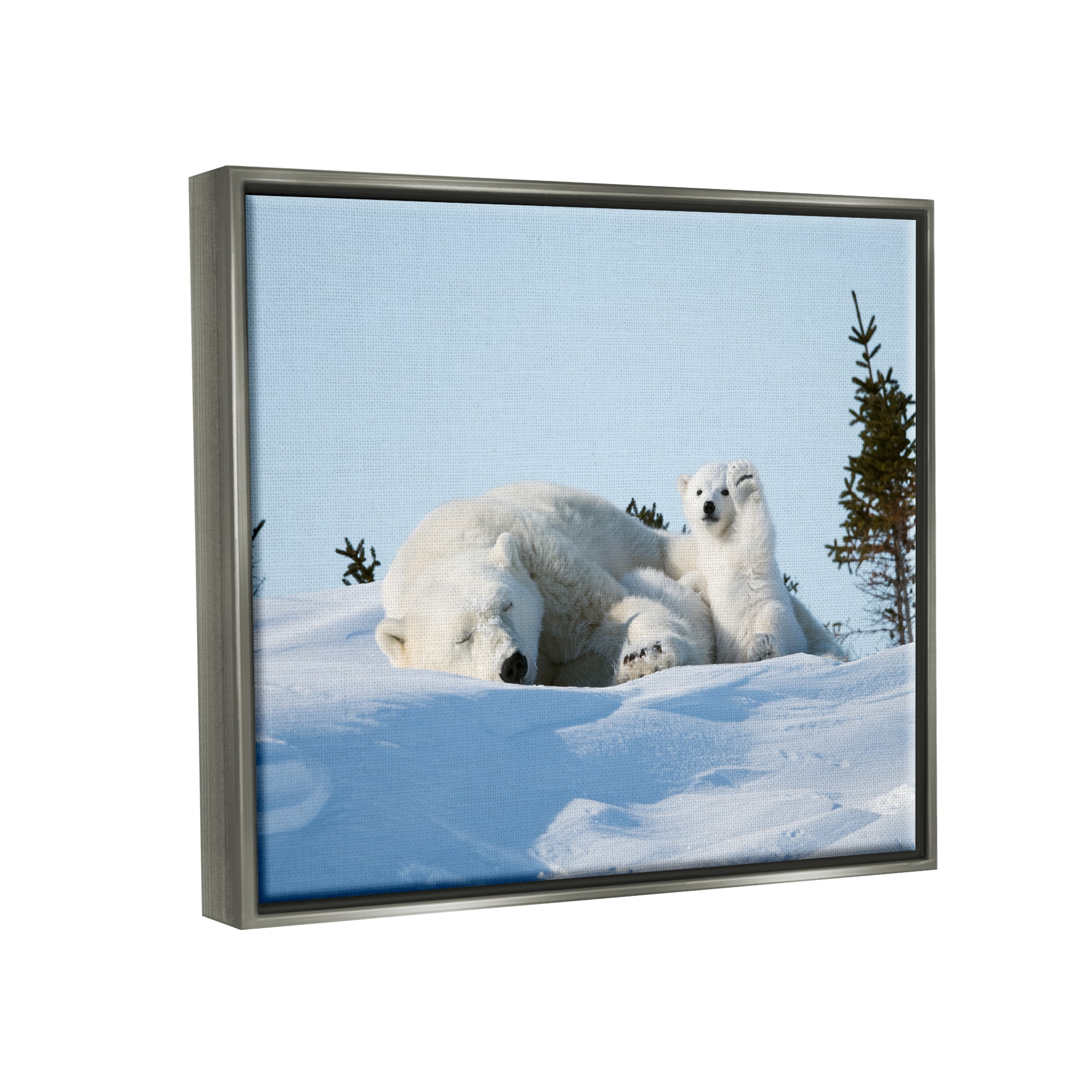 Stupell Industries Polar Bear Cub with Mom Animals & Insects Photography Gray Floater Framed Canvas Art Print Wall Art, 31 x 25