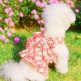 thumbnail image 4 of Ropa para mascotas Vestido para perros Pajarita Arnés Conjunto de correa para perros pequeños Gatos Niña Linda Princesa Vestidos para perros Primavera Verano Ropa de conejo Trajes para mascotas, 4 of 5