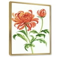 thumbnail image 3 of Designart 'Ancient Orange Chrysanthemum Flower' Traditional Framed Canvas Wall Art Print, 3 of 5
