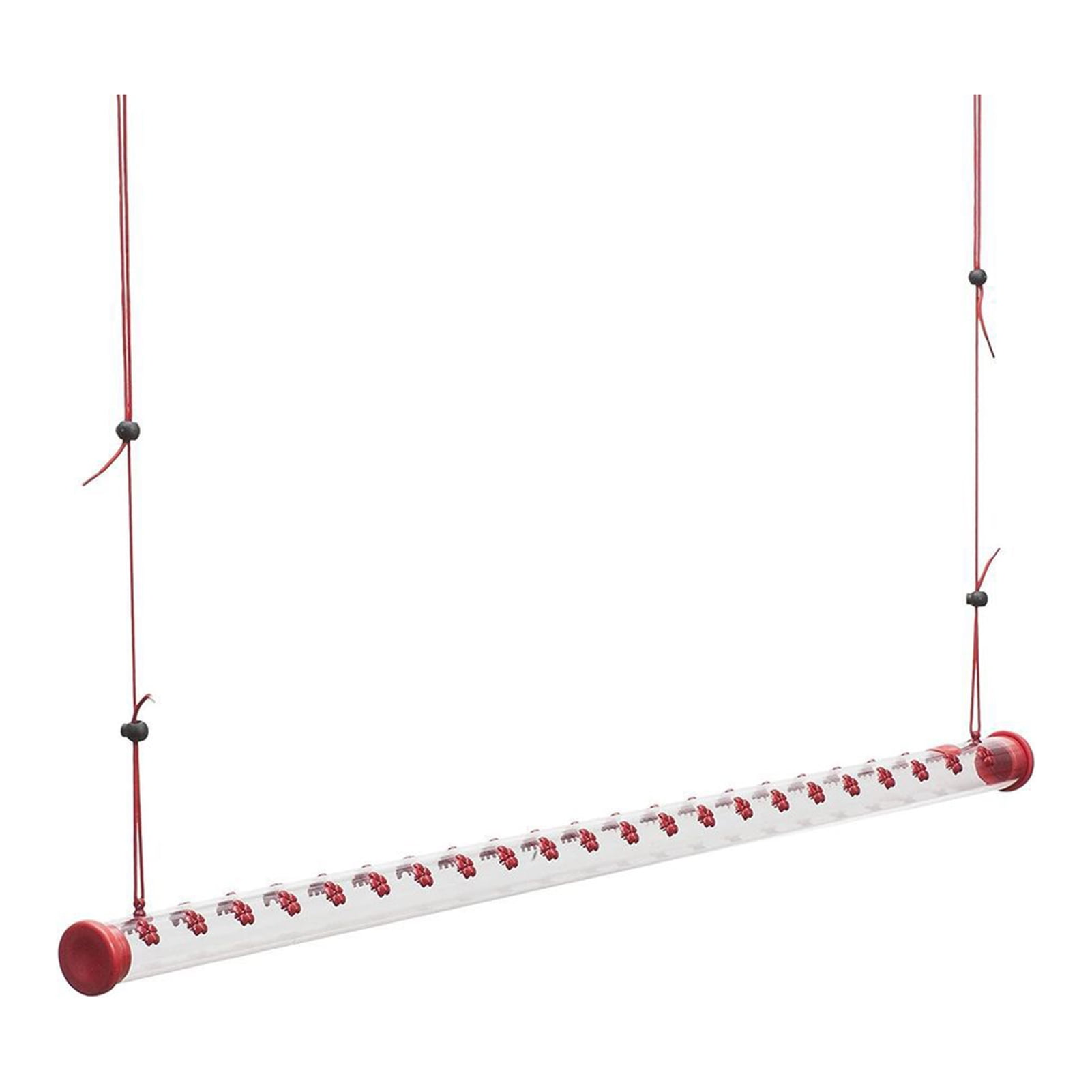 Hummingbird Feeder with Hole Hangings Bird Feeders Birds Feeding Red