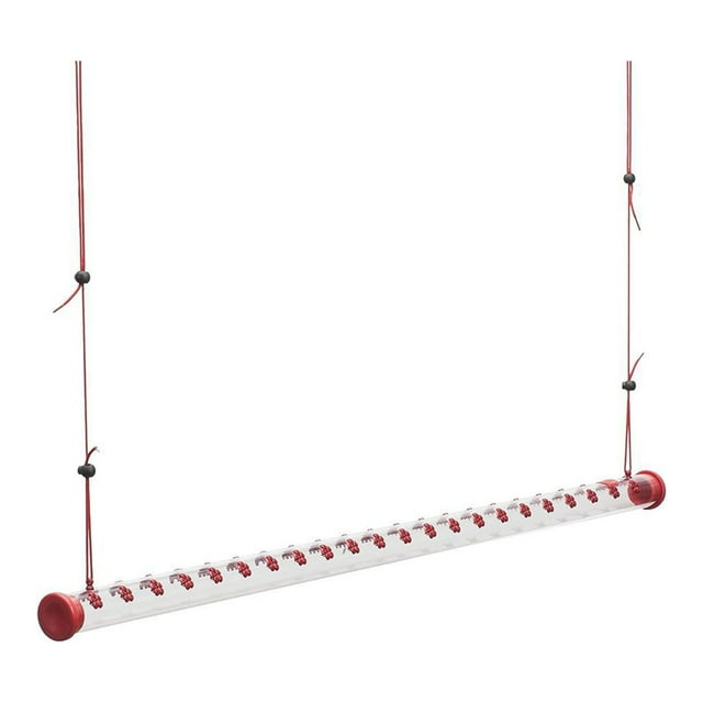 Hummingbird Feeder with Hole Hangings Bird Feeders Birds Feeding Red