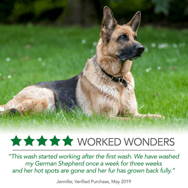 Best shampoo for itchy german shepherd 2025