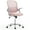 Pink, variant on CONCETTA Office Desk Chair with Adjustable and Flip-up Armrest, Ergonomic Mesh Computer Chair with Lumbar Support, Pink