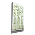 thumbnail image 2 of Epic Graffiti 'Simple Leaves in Jar II' by Cindy Jacobs, Canvas Wall Art, 20"x40", 2 of 2