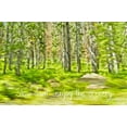thumbnail image 2 of Murdock, Ramona 32x23 White Modern Wood Framed Museum Art Print Titled - Slow Down, 2 of 4
