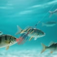 thumbnail image 1 of Fishing & Attractants Outdoor Gear Accessory For Anglers Efficient Reflective Strike At Trout Walleye 1pc, 1 of 3