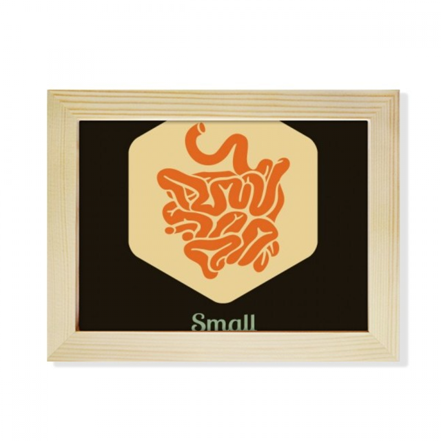Body Small Intestine Desktop Photo Frame Picture Art Decoration Painting 6x8 inch