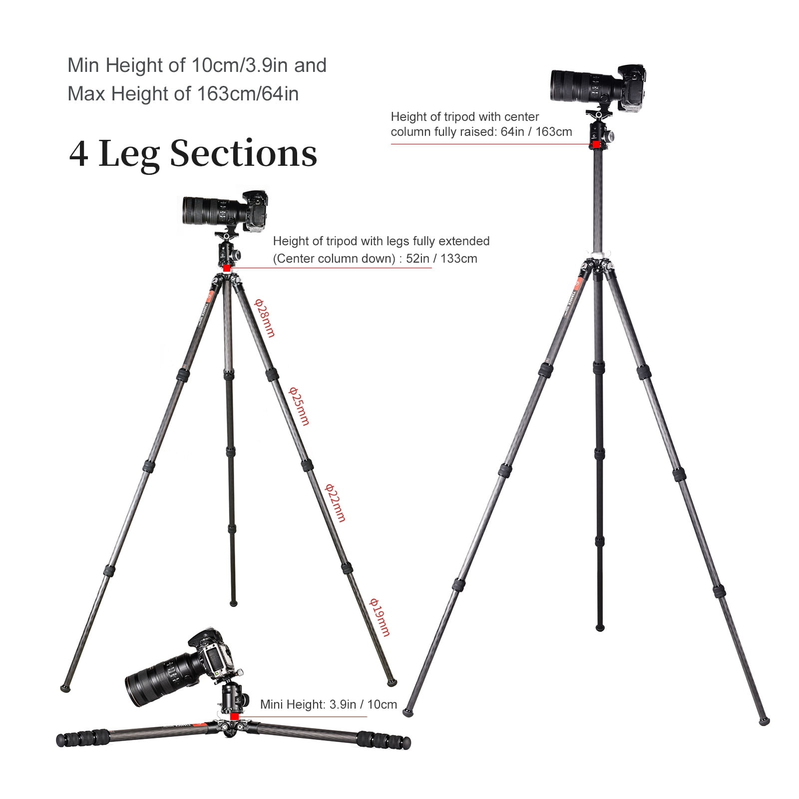 SUNWAYFOTO T2840CE Travel Tripod Carbon Fiber Professional Tripod Dslr Camera Waterproof,35.3lb Load