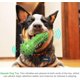 thumbnail image 4 of Puede limpiar juguetes para perros, cepillos de dientes para perros, juguetes para masticar de goma sólida para perros pequeños y medianos, verde Rojo Verde, 4 of 5