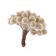 thumbnail image 4 of 200pcs Mini Acebo Flor Artificial Decoración árbol de Navidad Oro Macarena Flor artificial, 4 of 4