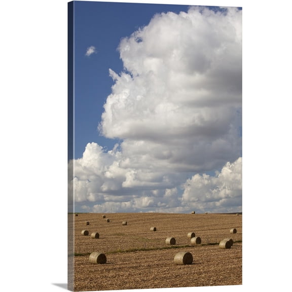 Great BIG Canvas | "IA, Jackson County, Baled corn stalks" Canvas Wall Art - 32x48