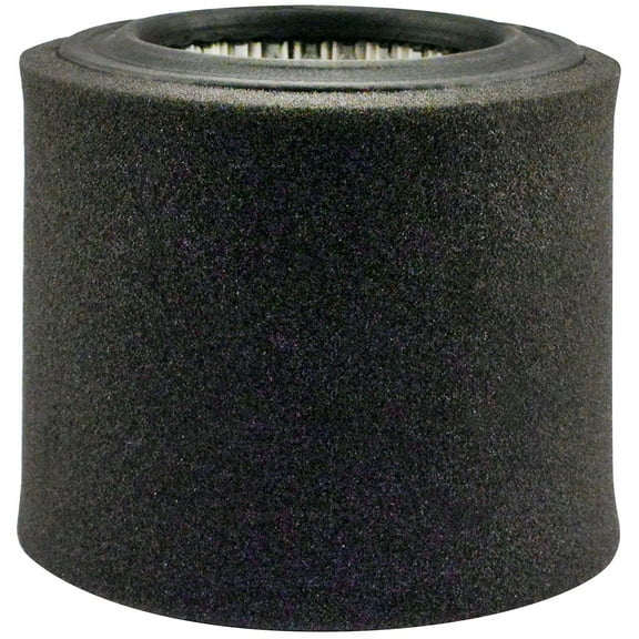 Carquest Premium Air Filter -, 1 each, sold by each