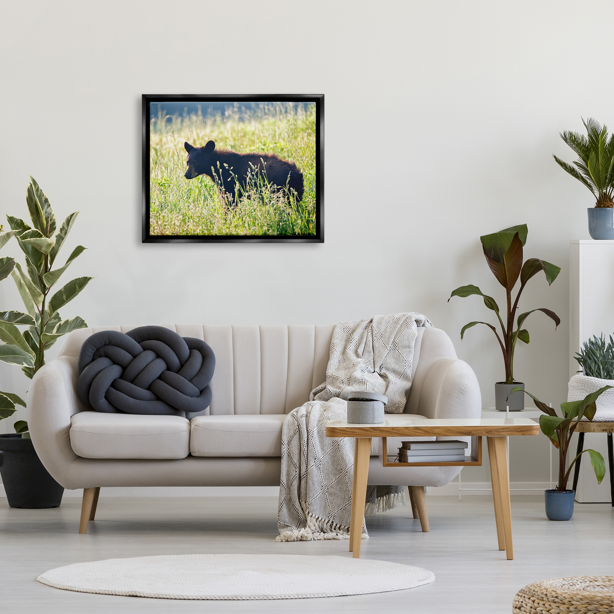 Stupell Baby Bear Tall Grassland Landscape Photography Black Floater Framed Art Print Wall Art