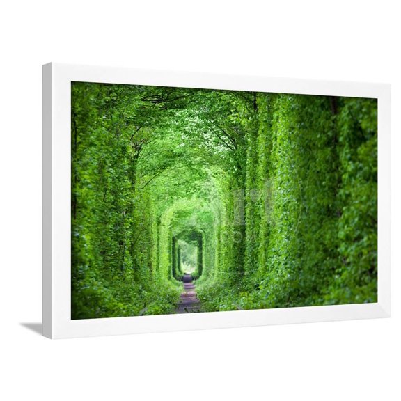 Wonder of Nature  Real Tunnel of Love, Green Trees and the Railroad, Ukraine, Scenic Framed Art Print Wall Art by Taiga Sold by Art.Com