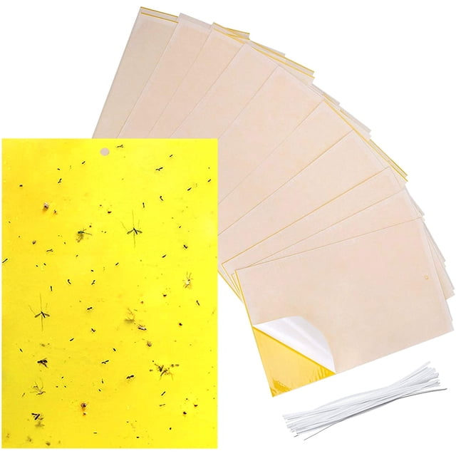 Paquete de 30 trampas adhesivas amarillas para insectos de plantas voladoras como hongos, moscas blancas, áfidos, minadores de hojas (bridas giratorias incluidas) Adepaton WMZL-514-2