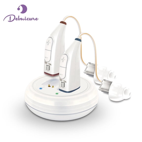 Delmicure Hearing Aids for Seniors with Noise Cancelling, Rechargeable Hearing Device for Adults, Adjustable Volume & Charging Case, VHP-1913