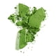 thumbnail image 2 of Sombra Compacta Individual 2.5 g Varios Tonos Bissú verde 5.0, 2 of 2
