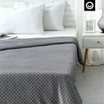 thumbnail image 5 of Posh Hasani 72"x80" Mink Velvet Weighted Blanket Throw-Gray (25 lbs), 5 of 9