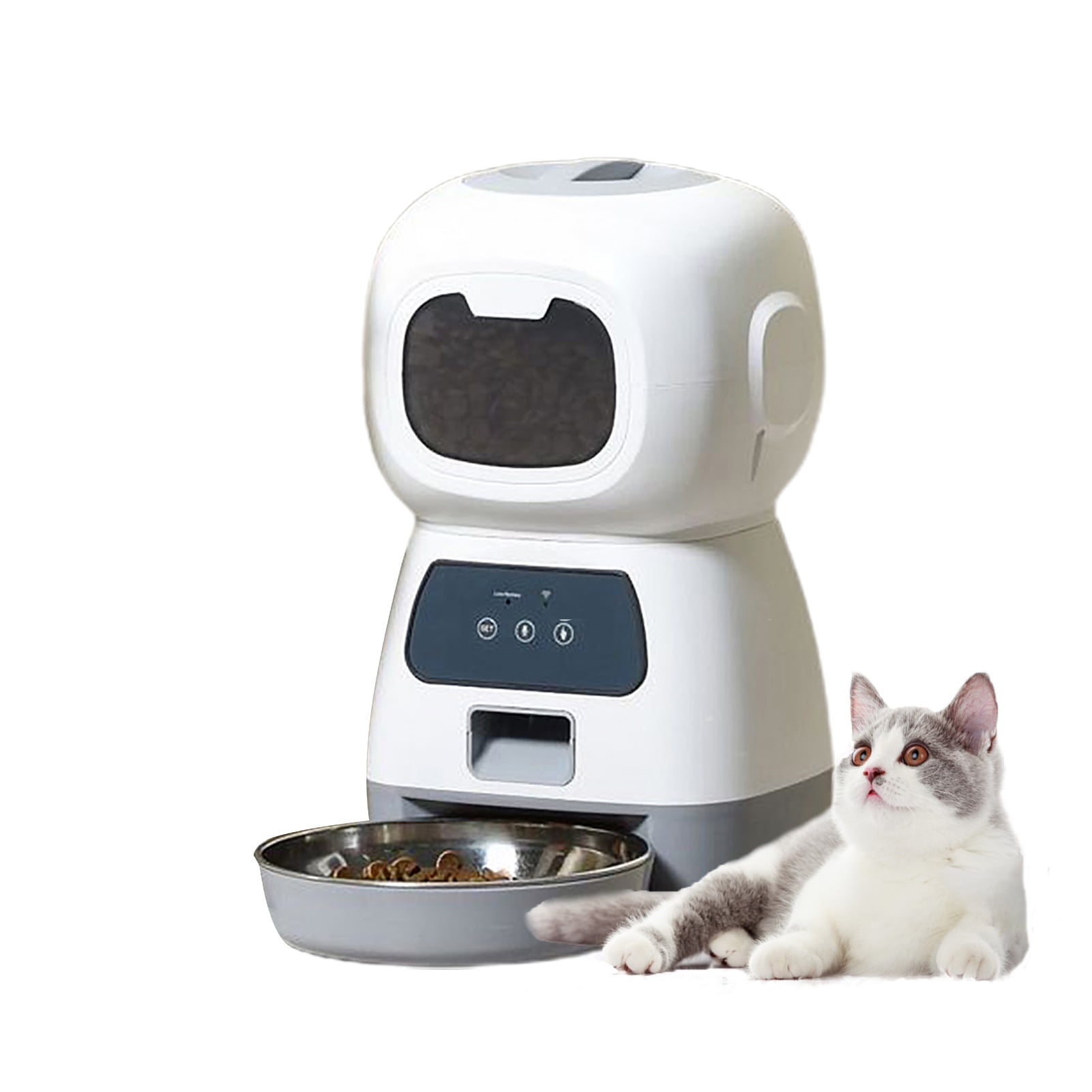 Timed dog feeder petsmart sales
