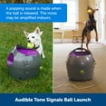 PetSafe Automatic Dog Toy Ball Launcher Interactive for Dogs, Indoor