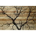 thumbnail image 2 of Parvez Taj Branching Out III Pinewood Wall Art, 40" x 60", 2 of 5