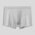 thumbnail image 2 of TNOBHG Men Shorts Men Ice Silk Mesh Shorts Briefs Mid-rise Elastic Waistband Seamless Fit Panties Breathable Mesh Slim Fit Underwear Slim Fit Men Underwear, 2 of 8